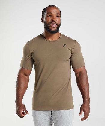 Gymshark Essential T Shirts Herr Bruna | SE 3794SGL